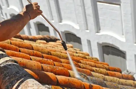 Nettoyage de toitures - Mions